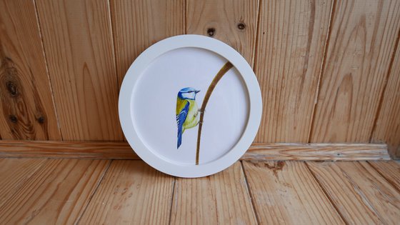 Framed Bird art. Blue tit. Part 4