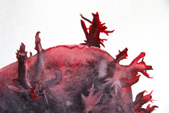 Tuber; Seeds series