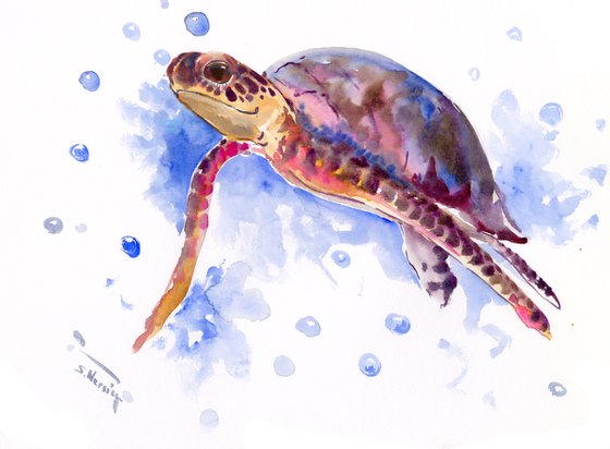 Sea Turtle