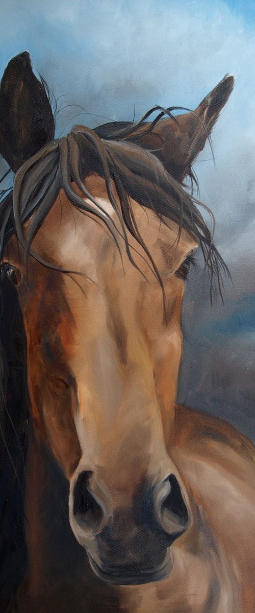Wild horse by Thuline De Cock