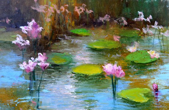 Pond with pink lilies