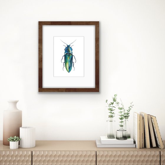 Blue longhorned beetle. Original watercolour artwork.