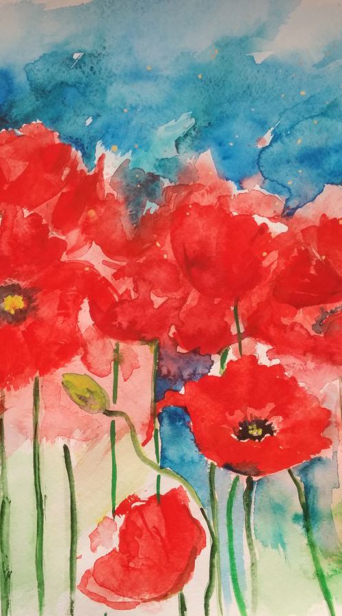 Poppies by Jelena Nova