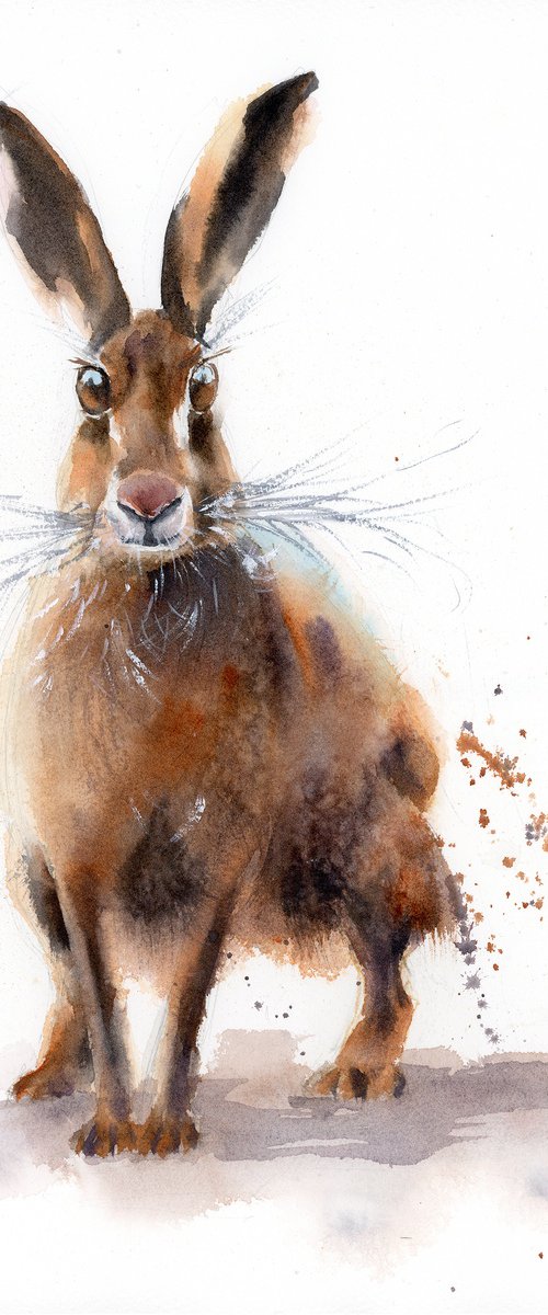 Curious Hare by Olga Tchefranov (Shefranov)