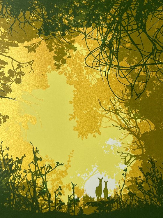 Gap in the Forest