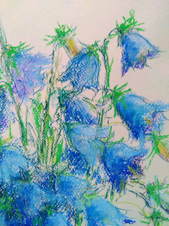 Bluebells flowers. Pastel drawing on bluish paper. 48х65