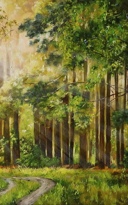 Road in the Forest, Sunlight Streaming Through Trees by Natalia Shaykina