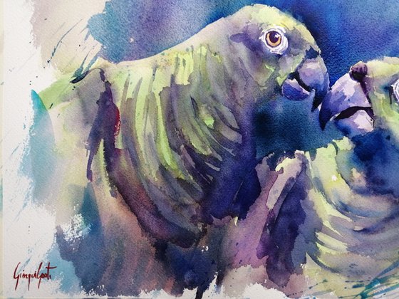 parrot 7