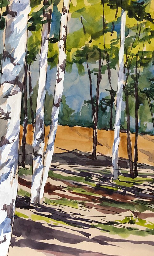 Birches. Shadows by Olga Beloborodova