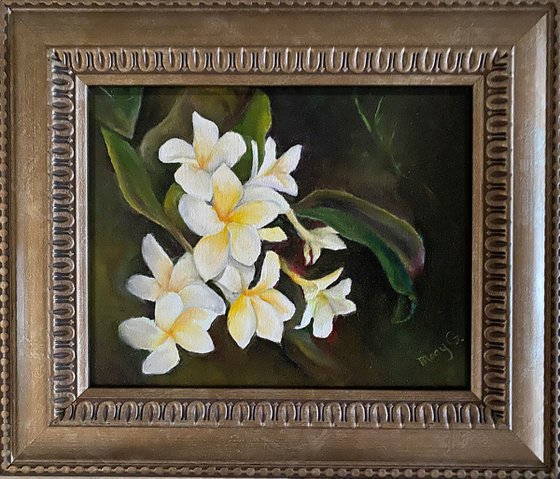 Awesome White Plumerias Original Oil Painting 8x10 fully framed