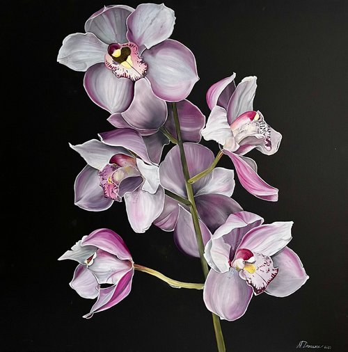 The orchid by Myroslava Denysyuk