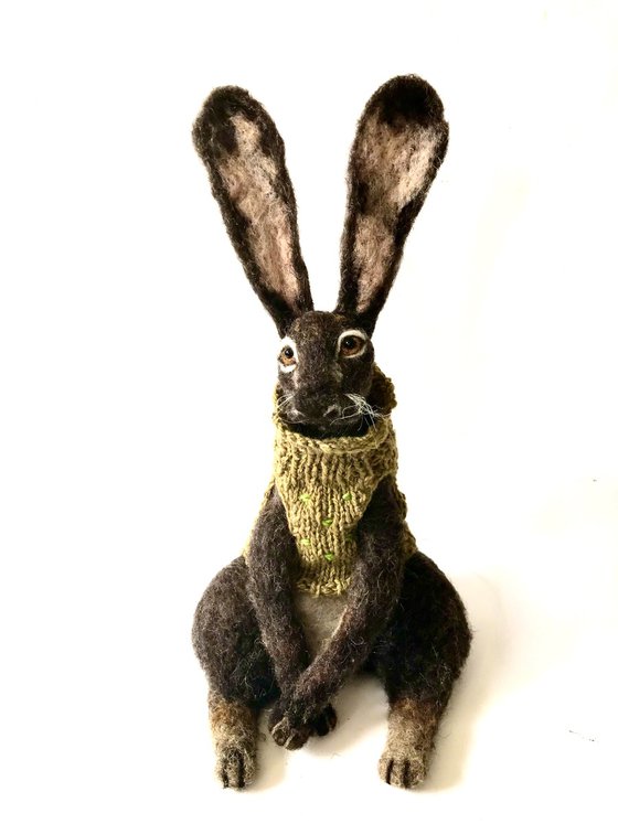 The hare in the green jumper