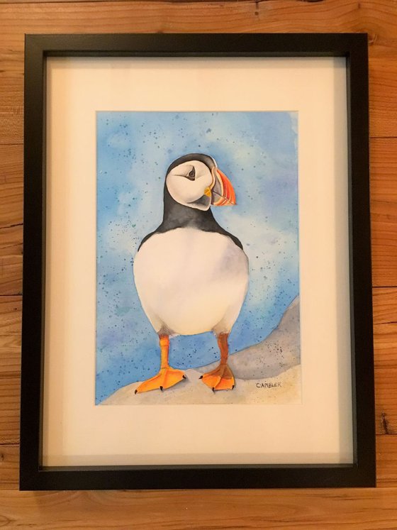 Perky Puffin - Framed Watercolour