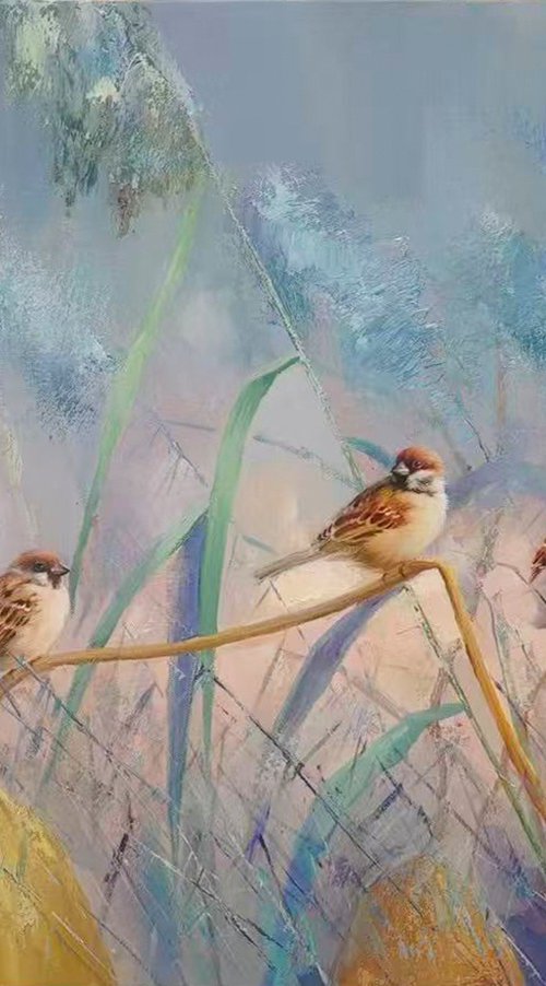 Coversation t275 by Kunlong Wang