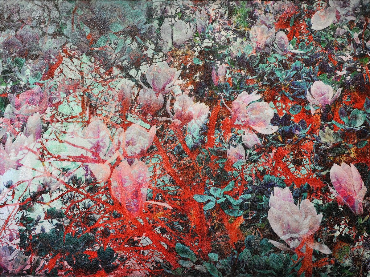 Botanical Print By Karin Vermeer, 63 X 47", Magnolia, Original Artwork