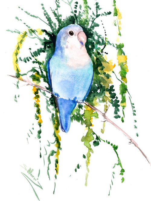 Blue Lovebird and Acacia Tree by Suren Nersisyan