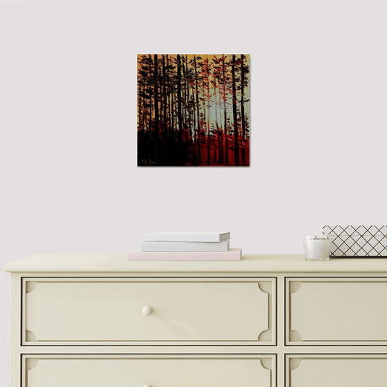 Sunset in the forest