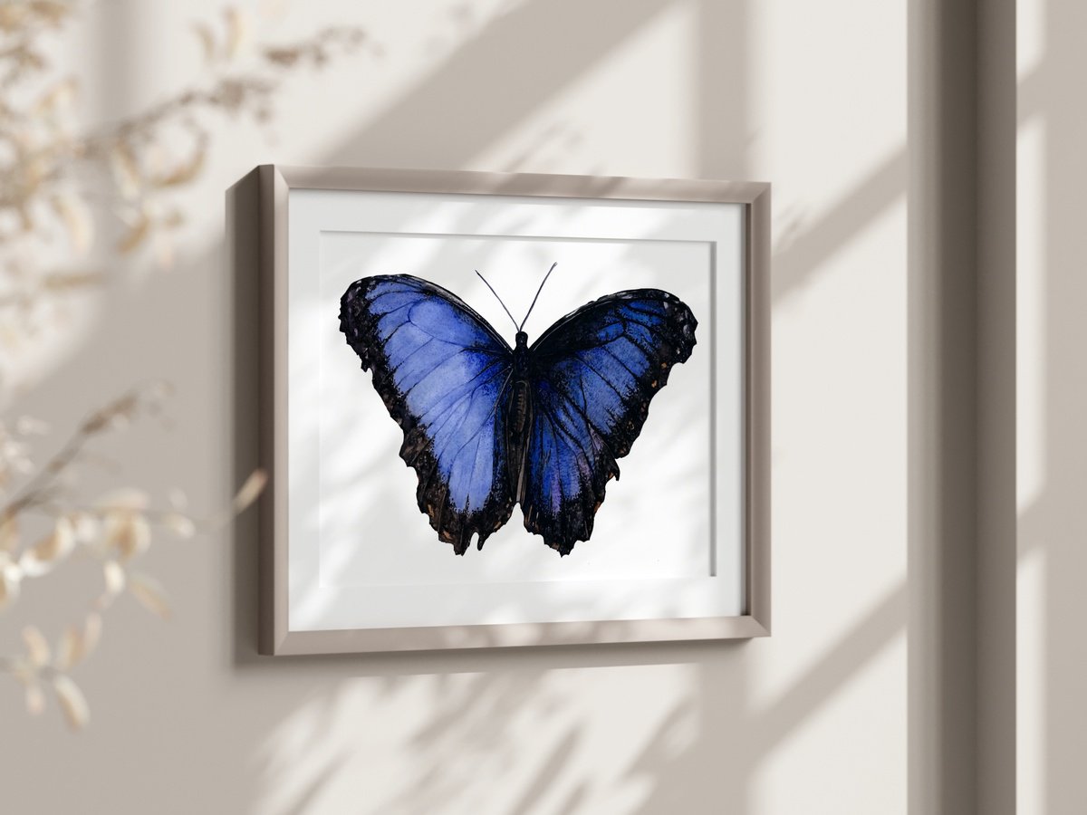 Blue Morpho Butterfly by Irsa Ervin