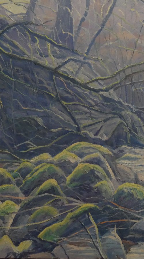 Source of the river Avil by Bert Bruins