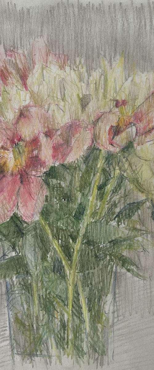 Peonies by Louise Gillard