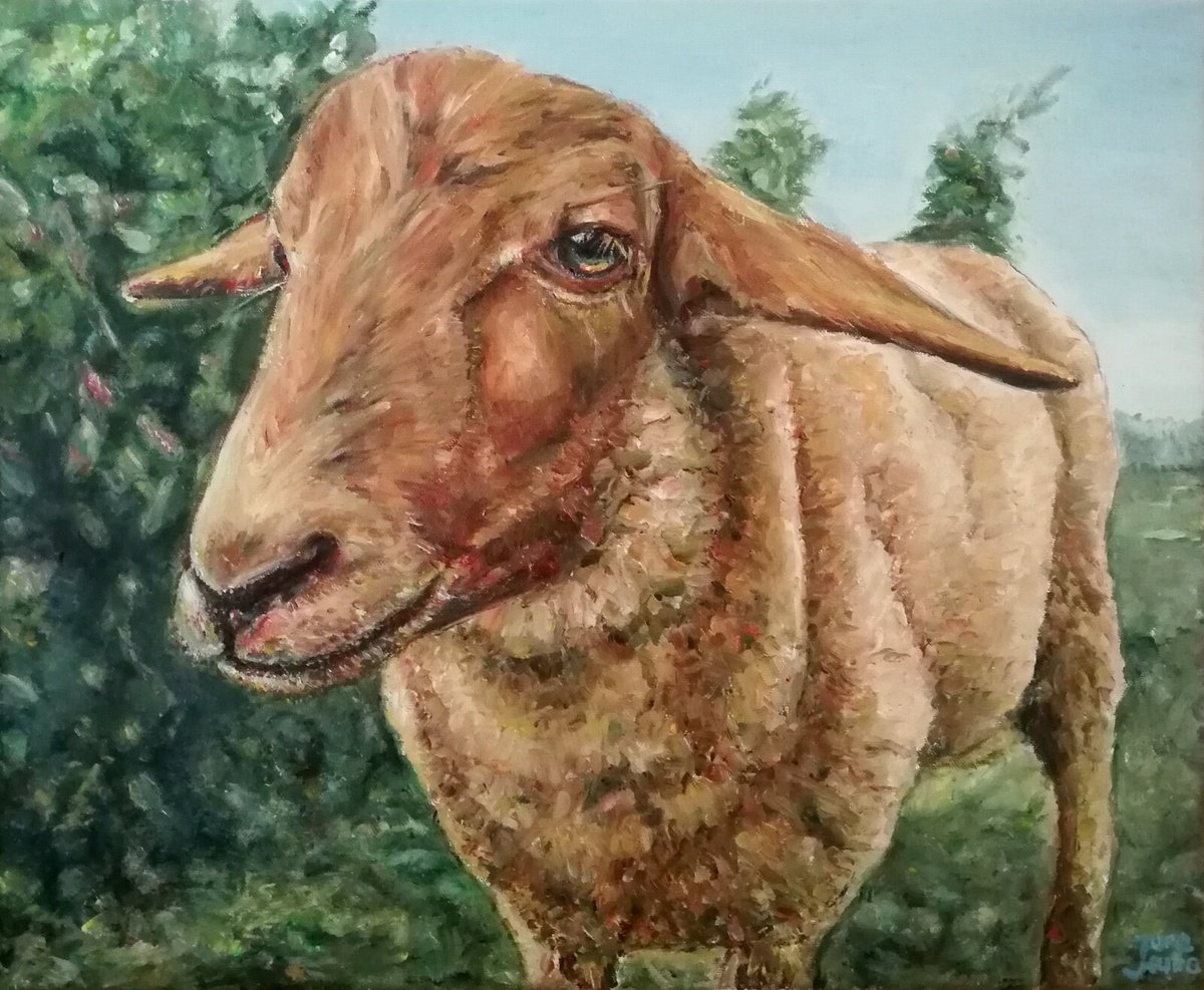 Brown Sheep by Jura Kuba Art
