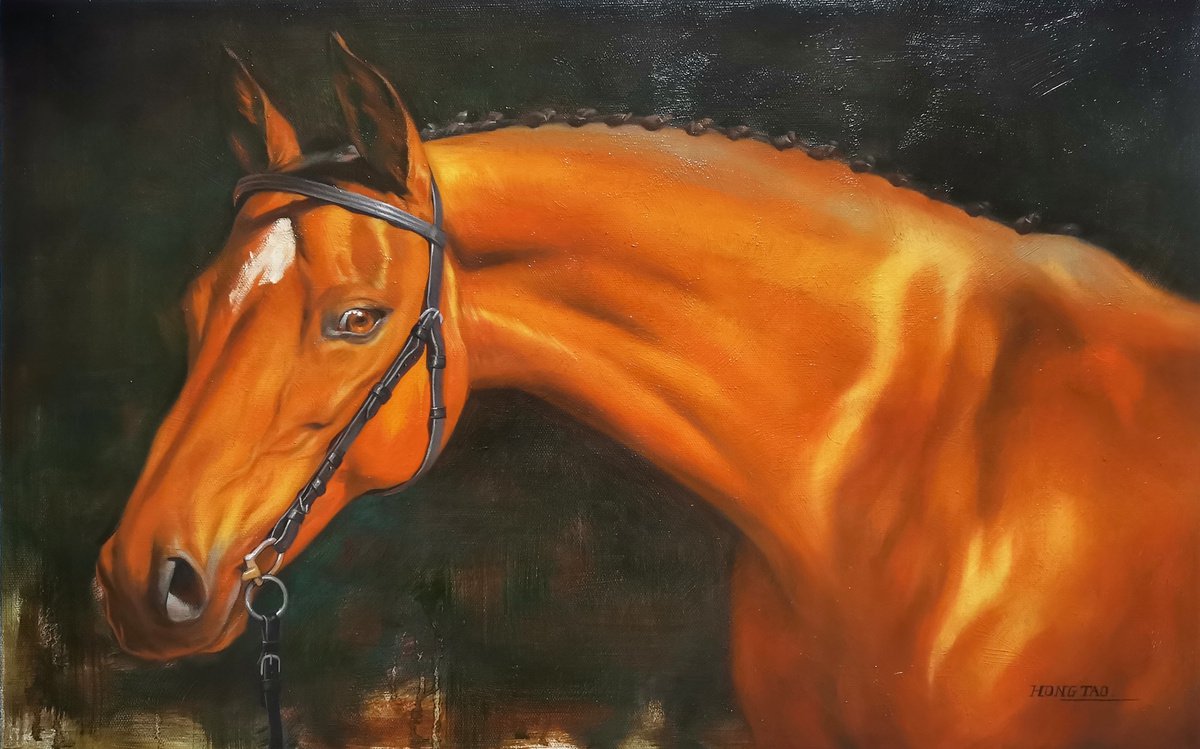 Photorealistic Animal Oil Painting By Hongtao Huang, 30 X 20, Horse #257, Original Artwork