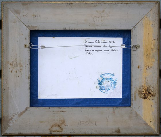 Storm at sea. Cape Kuron