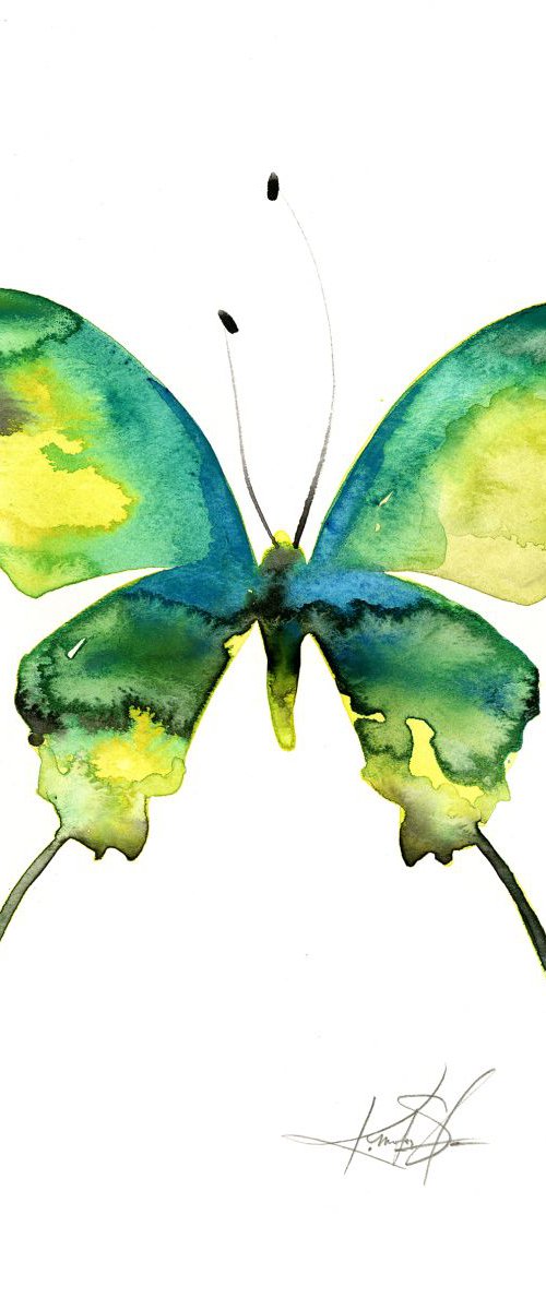 Watercolor Butterfly 5 - Abstract Butterfly Watercolor Painting by Kathy Morton Stanion