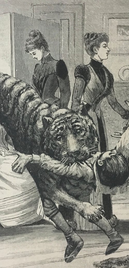 Tiger in the drawing room by Tudor Evans