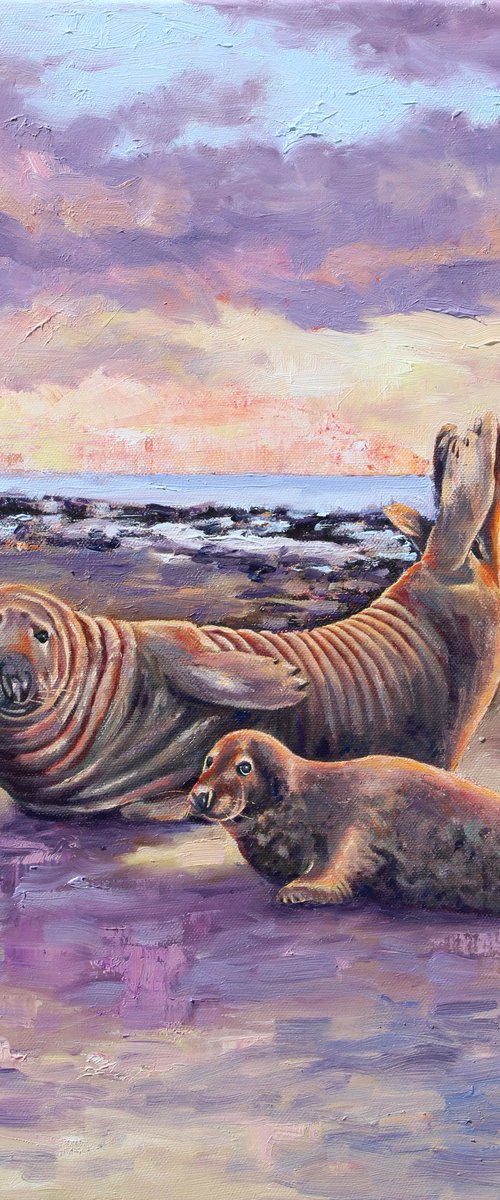 Grey Seals at Horsey by Zoe Elizabeth Norman