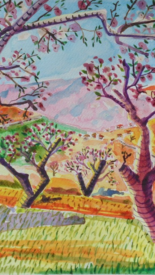 Andalucian almond blossom trees by Kirsty Wain
