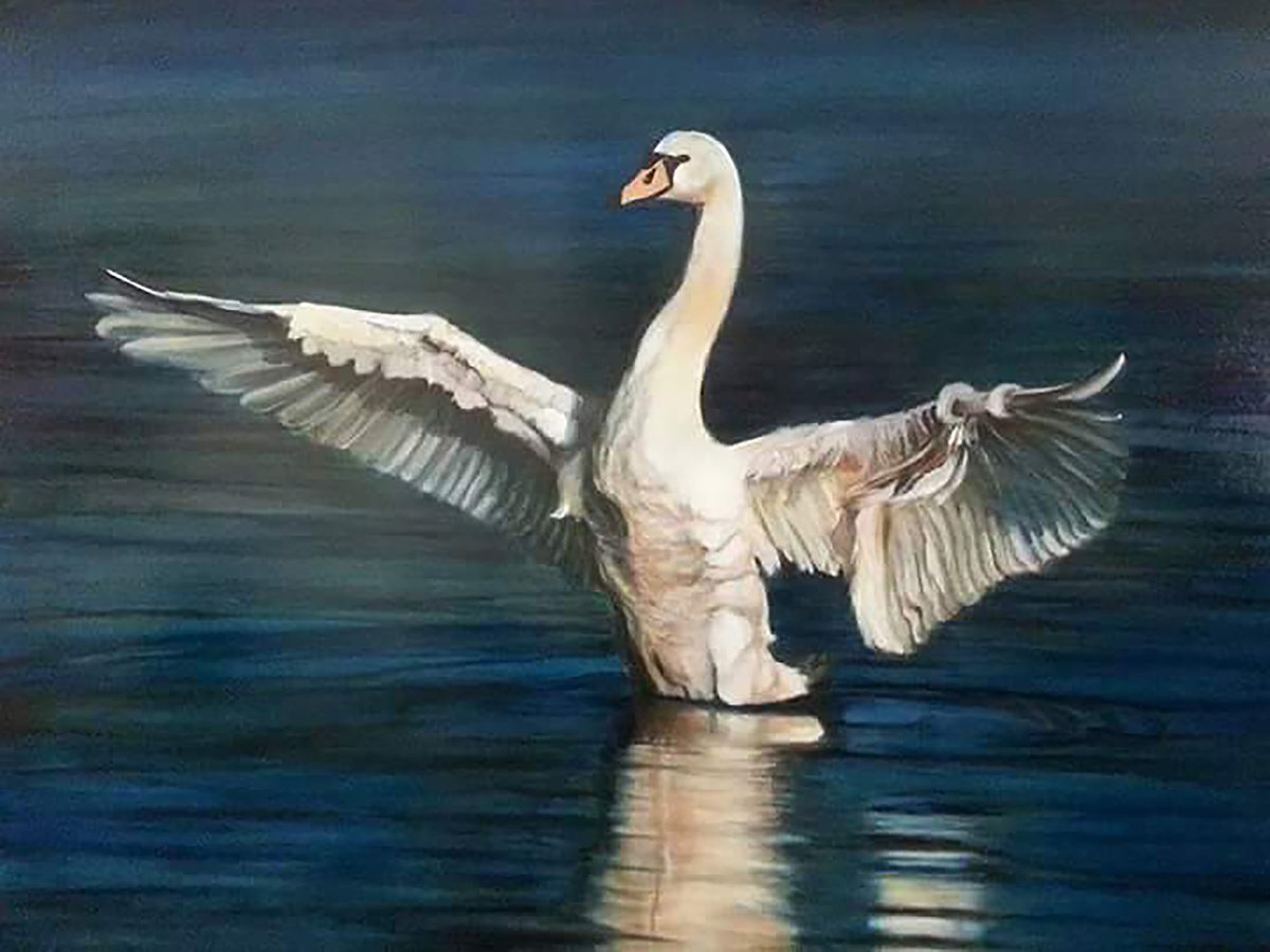 Swan by Jennie Smallenbroek