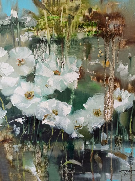 White poppies