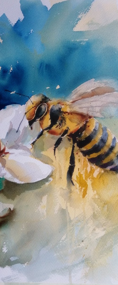 bee by Giorgio Gosti