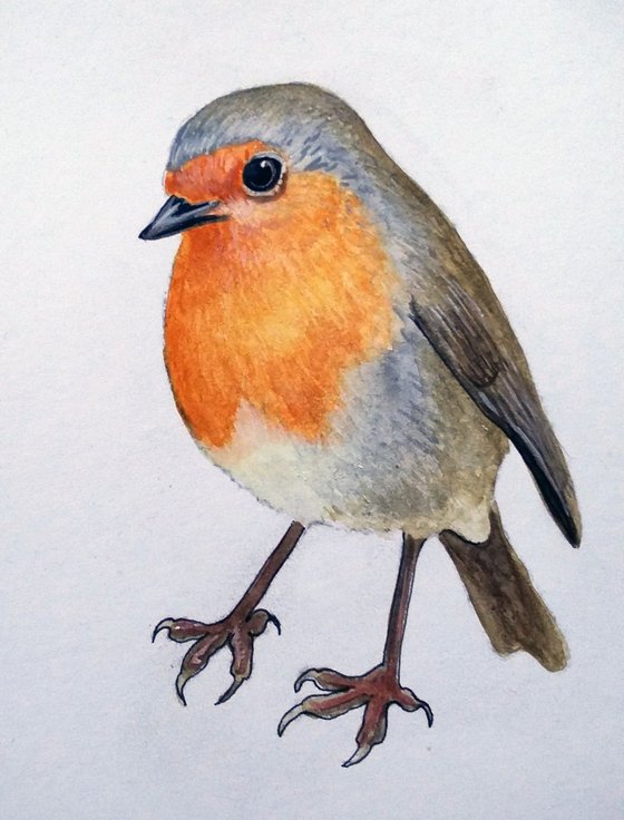 Robin in watercolours