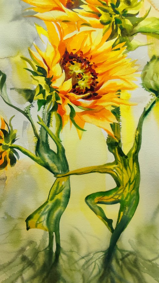 Sunflowers