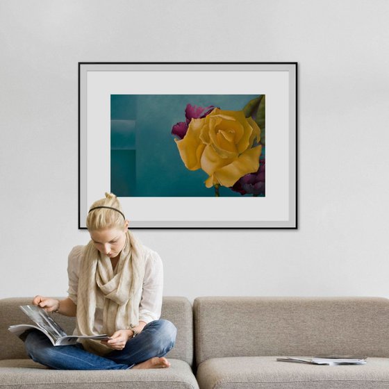 Yellow Spring Rose - limited edition print Giclée