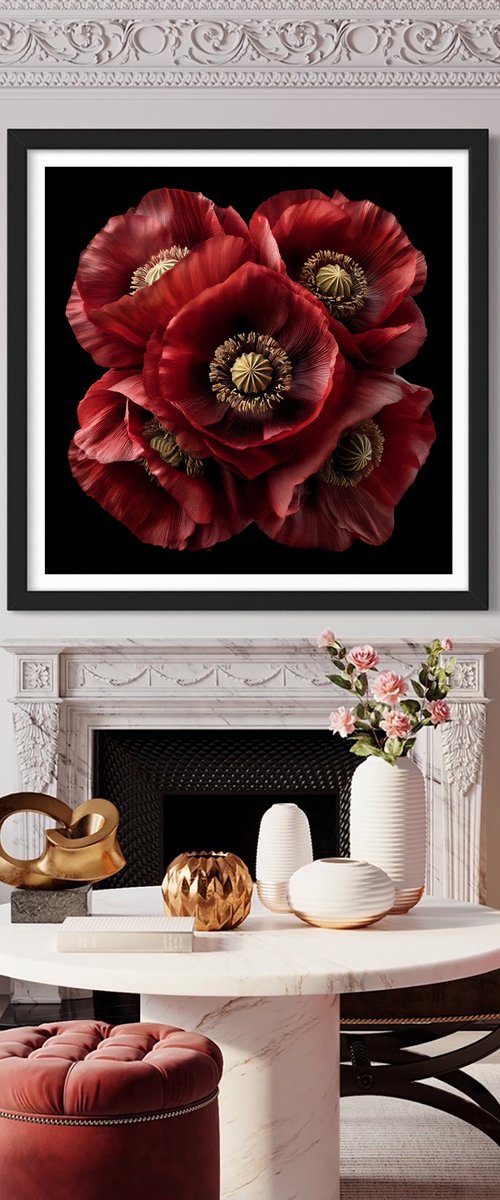 Velvet Poppies by MICHAEL FILONOW