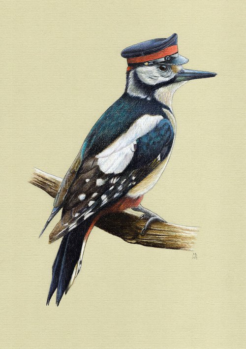 Great spotted woodpecker by Mikhail Vedernikov