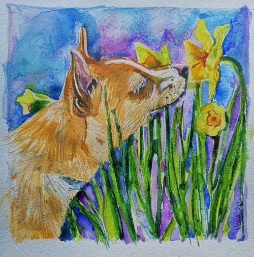 Daffodils by Jelena Nova