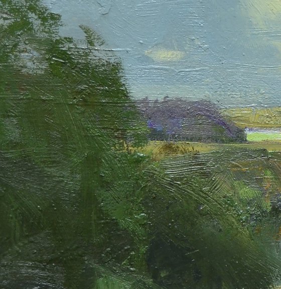 Summer Reflections