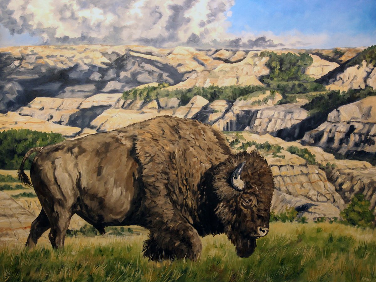 The Patriarch - Landscape - Bison - Wildlife by Katrina Case