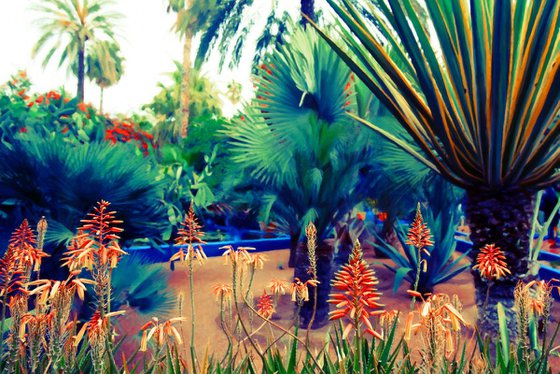 Majorelle Wild