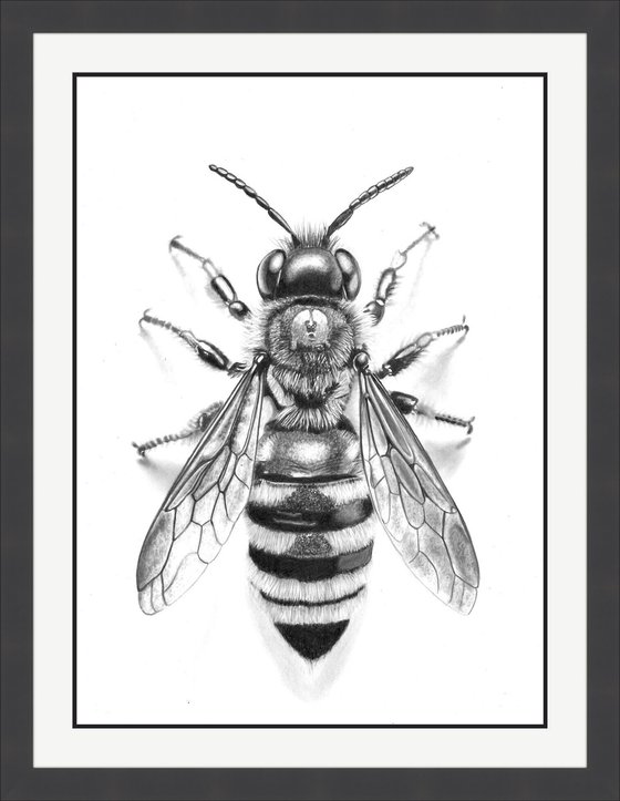 Bee in Pencil #3