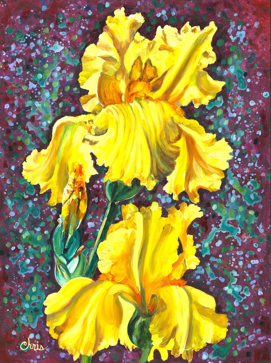 Yellow Iris Duet