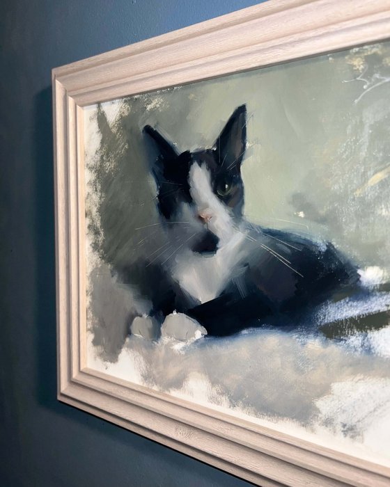 Watchful Whiskers - Uno