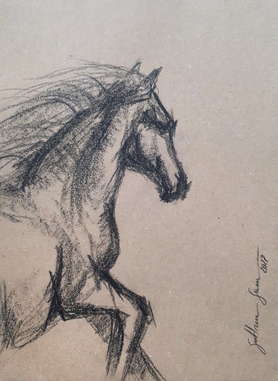 Horse 1 Sketch  /  ORIGINAL PAINTING