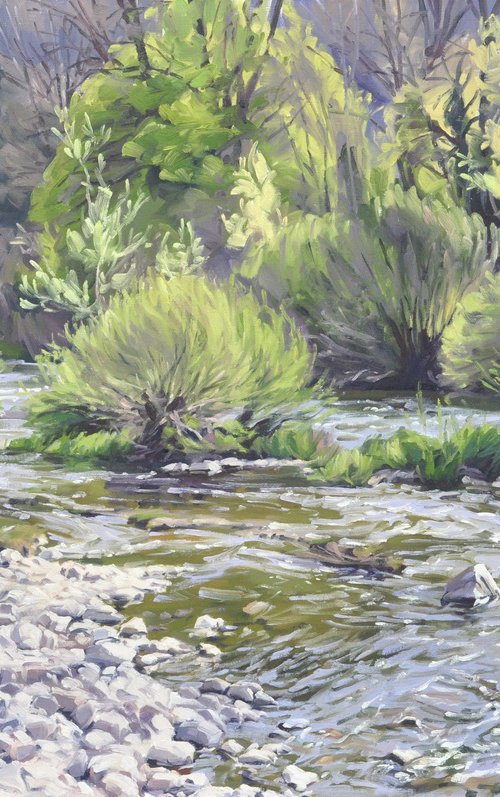 Morning Light on the Loire in Spring by ANNE BAUDEQUIN