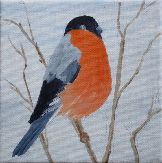 Bullfinch