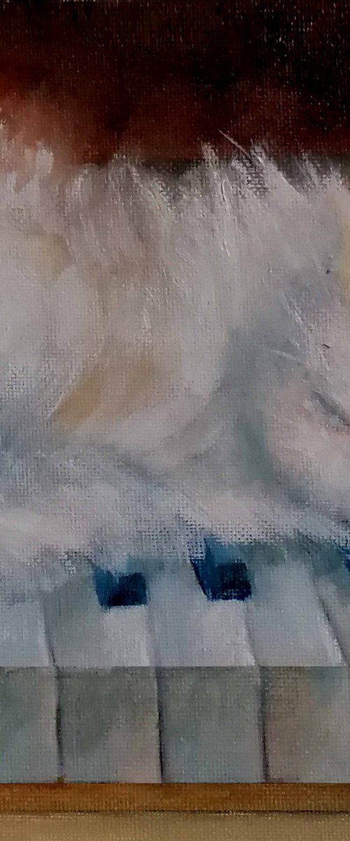 The Pianist Cat by Susana Z. Harris